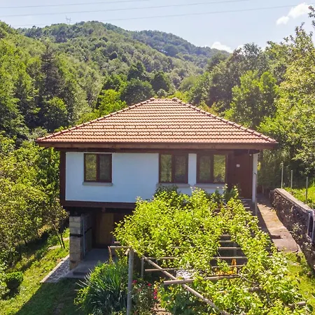 Lyubovo