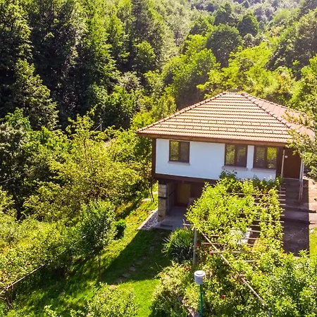 Lyubovo Gabrovo
