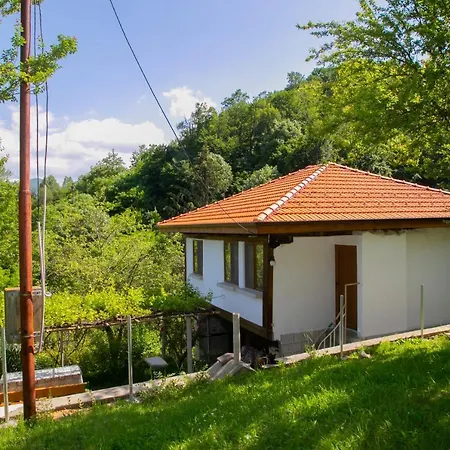 Lyubovo Guest house