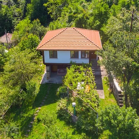 Lyubovo * Gabrovo