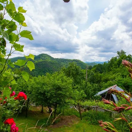 Lyubovo Guest house *
